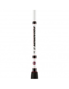 Penn Squadron II SW Spin 300 cm 20-60 gr