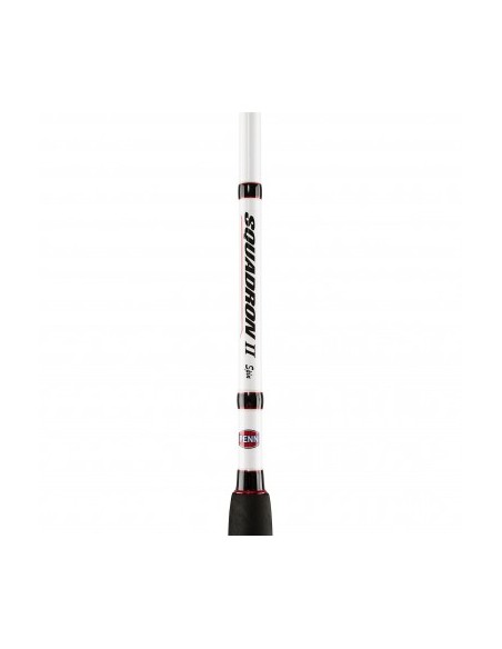 Penn Squadron II SW Spin 300 cm 20-60 gr