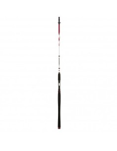 Penn Squadron II SW Spin 300 cm 20-60 gr 2