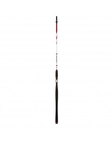 Penn Squadron II SW Spin 300 cm 20-60 gr