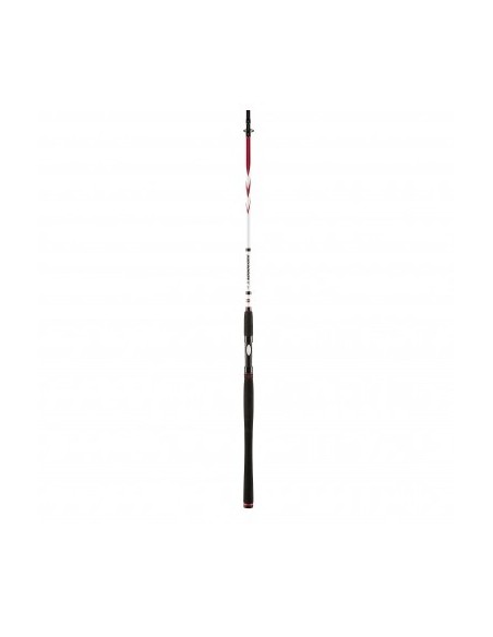 Penn Squadron II SW Spin 300 cm 20-60 gr