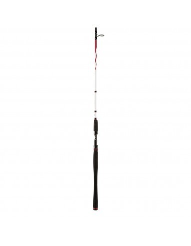 Penn Squadron II SW Spin 300 cm 20-60 gr