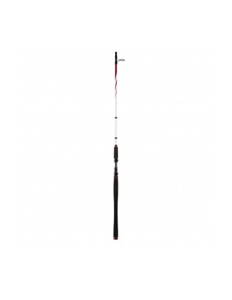 Penn Squadron II SW Spin 300 cm 20-60 gr