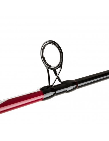 Penn Squadron II SW Spin 300 cm 20-60 gr