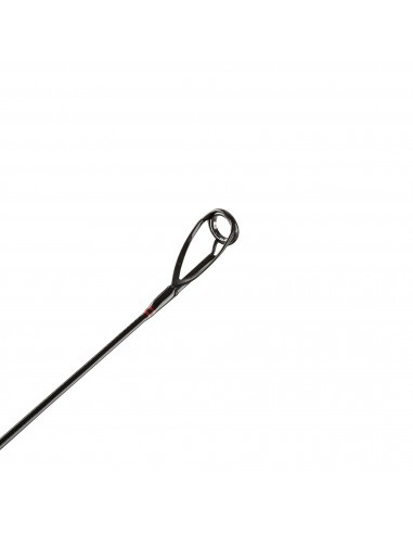 Penn Squadron II SW Spin 300 cm 20-60 gr