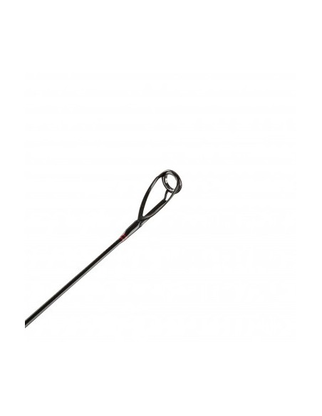 Penn Squadron II SW Spin 300 cm 20-60 gr