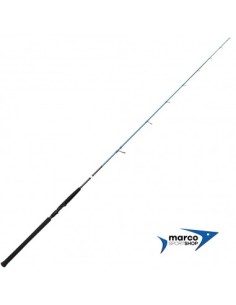 Savage Gear SGS2 Jigging 1,8 Mt 100-250 Gr