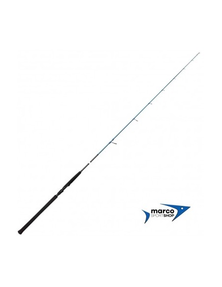 Savage Gear SGS2 Jigging 1,8 Mt 100-250 Gr