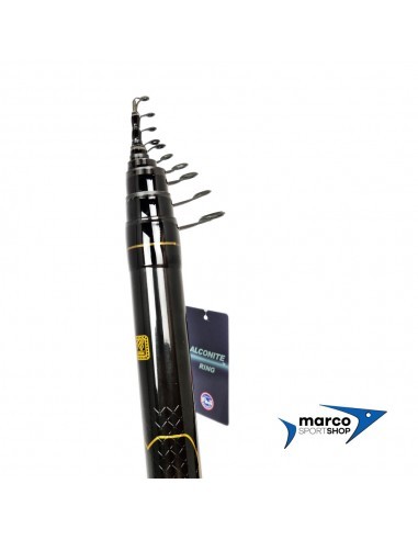 Tubertini Bolognese R18 Metri 6 Metri Carbon 01 Casting 0-20 Gr