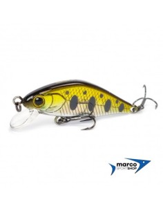 Tubertini Seika Samu 50 mm Colore 08