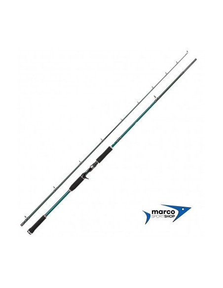 Abu Garcia Beast X Pike 2,54 Mt 40-140 Gr