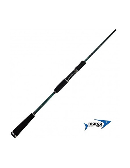 Abu Garcia Beast X Pike 2,54 Mt 40-140 Gr