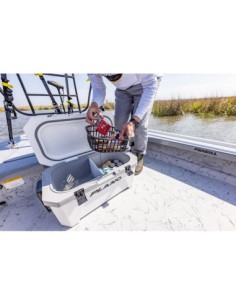 Frigo Plano Frost 32 Qt Coolers 2