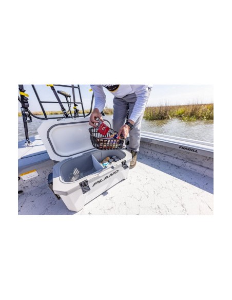 Frigo Plano Frost 32 Qt Coolers