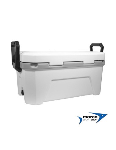 Frigo Plano Frost 32 Qt Coolers