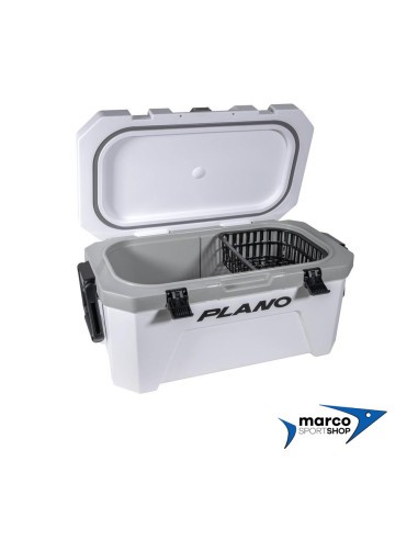 Frigo Plano Frost 32 Qt Coolers