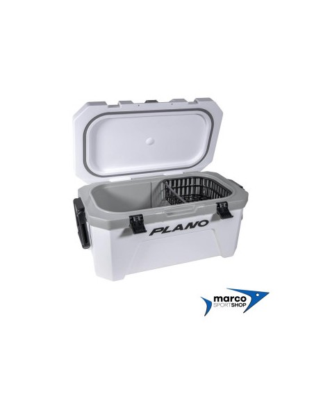 Frigo Plano Frost 32 Qt Coolers