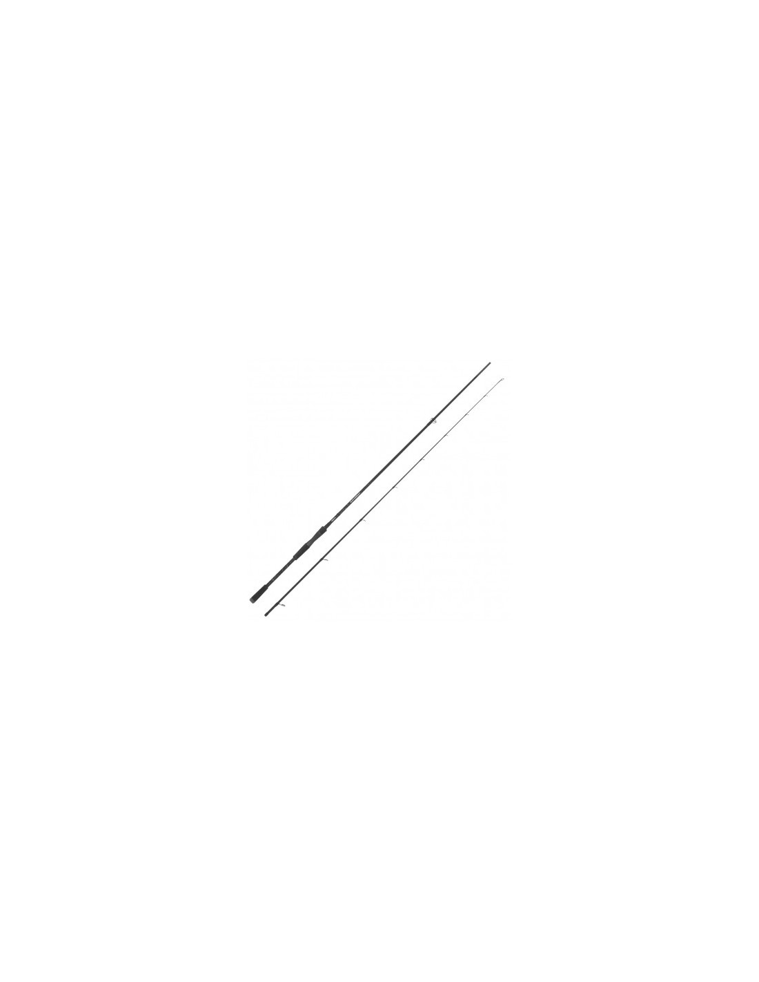 Tubertini Bolognese R18 Mt 8 Carbon 01 Casting 020 Gr