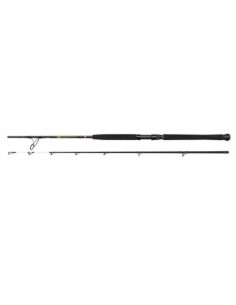 Penn Wrath II Boat 2,13 Mt 30-50 Lb