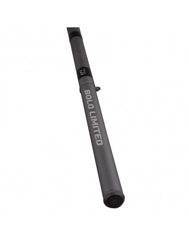 Daiwa Tournament AGS Bolo Limited 6 Metri Regular