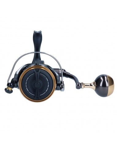 Daiwa BG MQ 6000 D-H-ARK