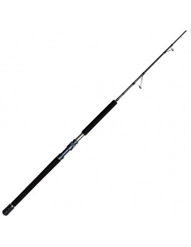 Penn Battalion Solid Tuna 1,84 Mt 50-100 Lb Low Rider