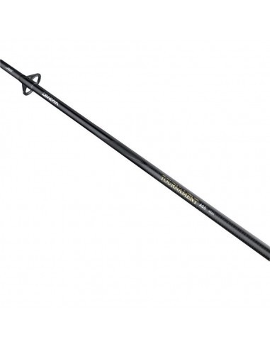 Daiwa 23 Tournament AGS 762-M 2,29 Mt 5-20 Gr