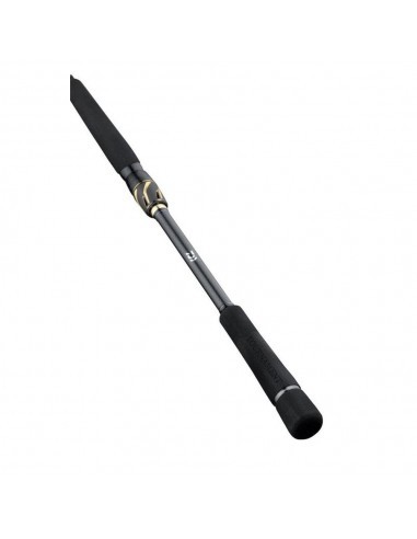 Daiwa 23 Tournament AGS 762-M 2,29 Mt 5-20 Gr