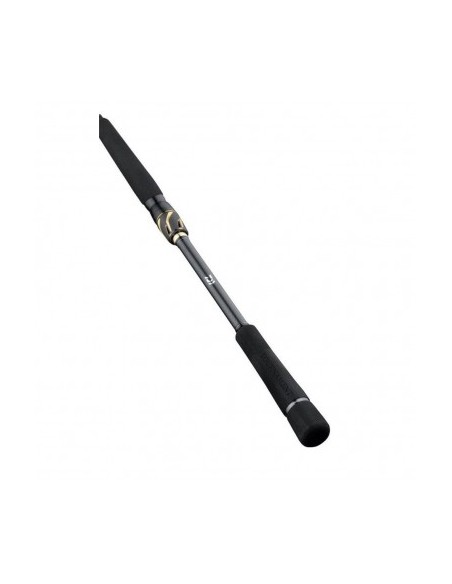 Daiwa 23 Tournament AGS 762-M 2,29 Mt 10-30 Gr