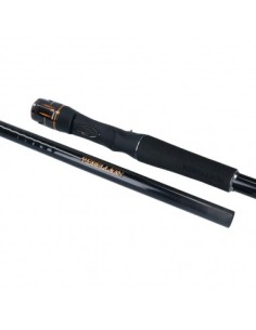 Daiwa Rebellion 2,21 Mt 11-42 Gr