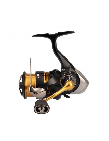 Mulinello 23 Daiwa Legalis LT 1000D-XH