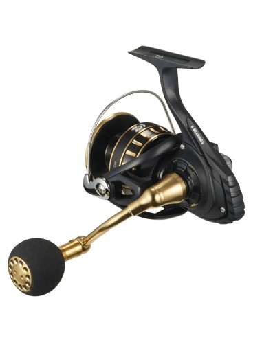 Daiwa BG SW 4000 D-CXH 