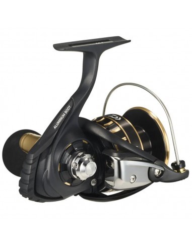 Daiwa BG SW 6000 D-H