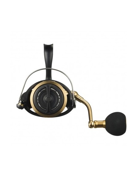 Daiwa BG SW 6000 D-H