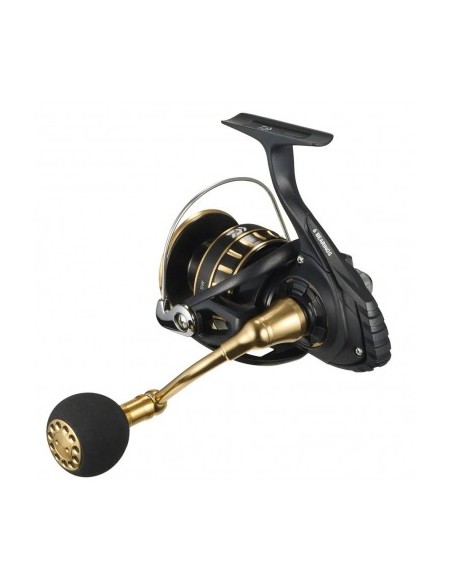 Daiwa 23 BG SW 6000D-H