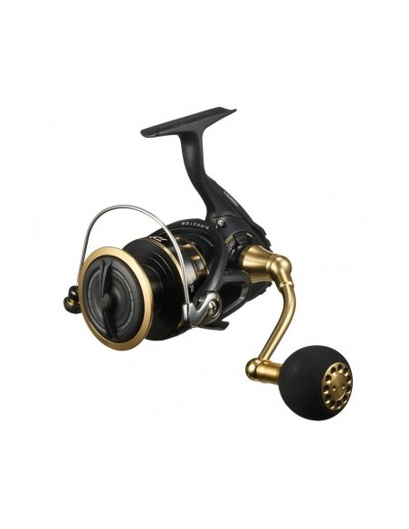 Daiwa BG SW 6000 D-P