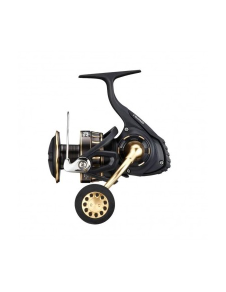Daiwa BG SW 8000 H