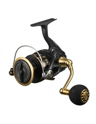 Daiwa BG SW 8000 H