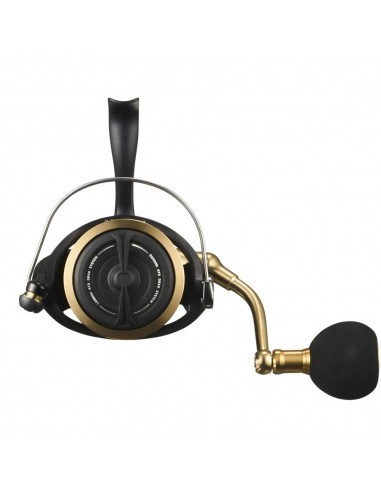 Daiwa BG SW 14000 H
