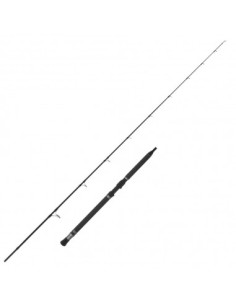 Tubertini Pianosa 2,2 Mt