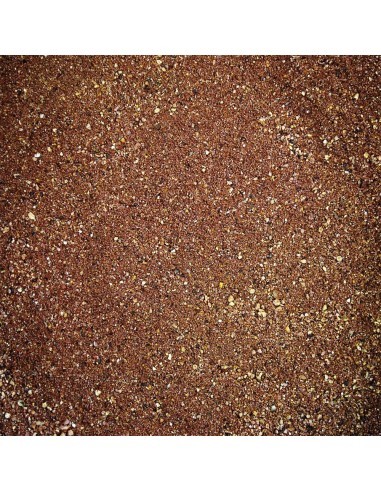 Tubertini Gold Medal Brown 1 Kg