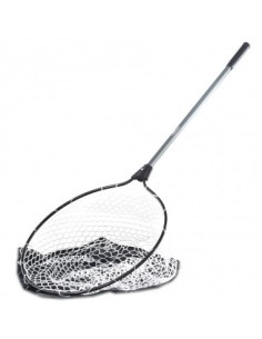 Guadino Tubertini Seika Area Evo