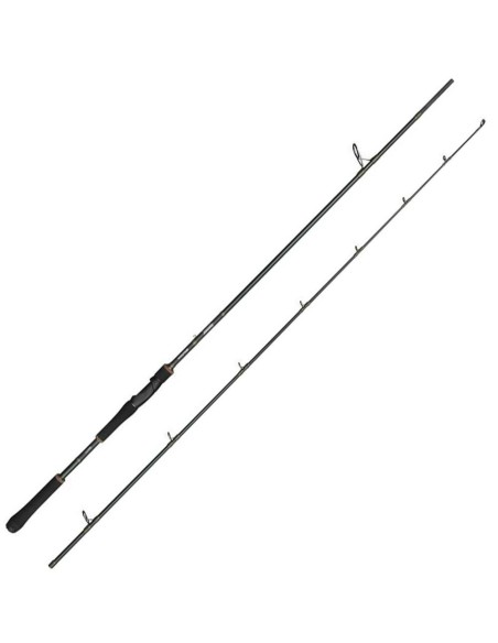 Abu Garcia Beast X2 832 XH Spinning 2,51 Mt 30-110 Gr