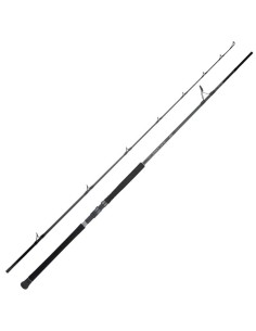 Daiwa Saltist X SJ 100H 3,05 Mt 130 Gr