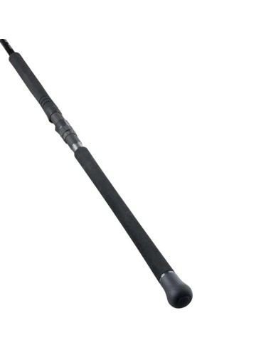 Daiwa Saltist X SJ 100H 3,05 Mt 130 Gr