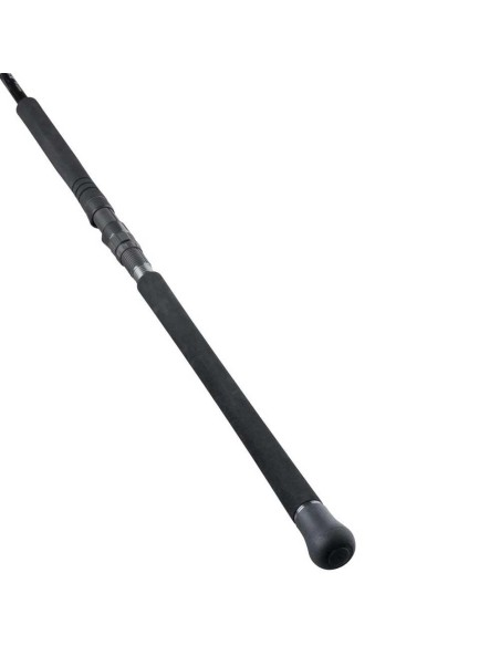 Daiwa Saltist X SJ 100H 3,05 Mt 130 Gr