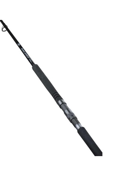 Daiwa Saltist X SJ 100H 3,05 Mt 130 Gr
