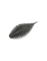 Geecrack Bellows Gill 3.8 Col. 011 Blue Gill