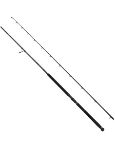 Savage Gear Defiance SG2 Shore Jig 3,05 Mt 30-100 Gr