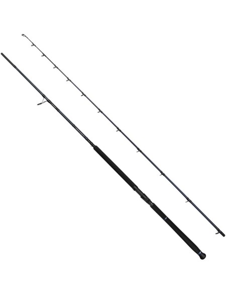 Savage Gear Defiance SG2 Shore Jig 3,05 Mt 60-150 Gr